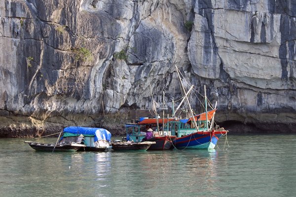 Afgemeerde boten bij indrukwekkende kalkrotsen in Halong Bay, Vietnam