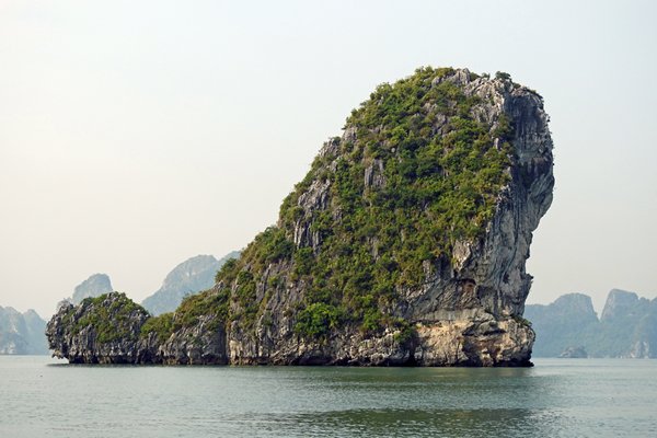 Foto 15 van de prachtige en grillig gevormde kalkrotsen in Halong Bay, Vietnam