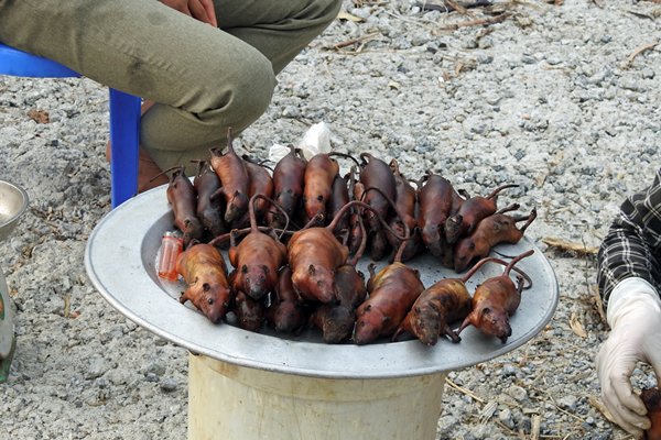 Geroosterde rat, te koop langs de weg, Vietnam