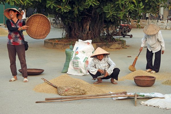 Vrouwen bezig met het zeven van de rijst bij de aanlegsteiger in Ninh Binh, Vietnam
