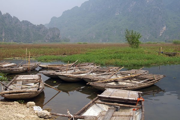 De boten voor de tochtjes bij Gia Vân liggen klaar, Vietnam