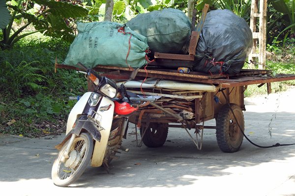 Transportbrommer in Cuc Phuong NP, Vietnam