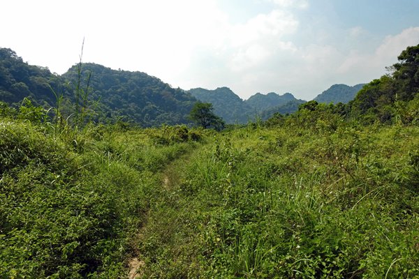 Wandelpad in Cuc Phuong NP, Vietnam