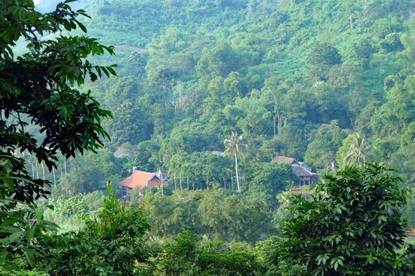 We naderen het einddoel van de trekking in Cuc Phuong NP, Vietnam