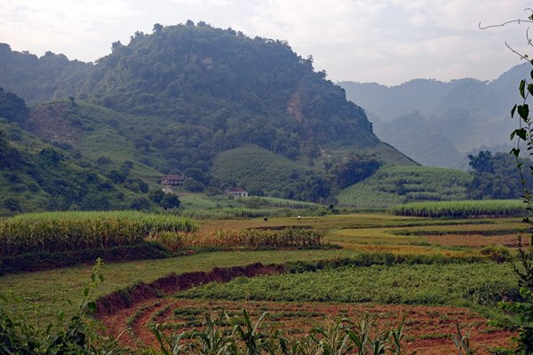 Akkertje in een Khahn dorp in Cuc Phuong NP, Vietnam