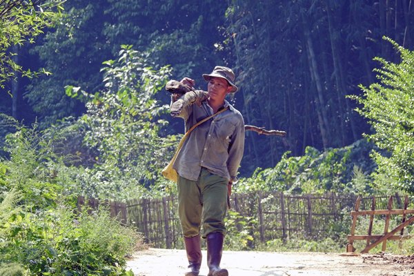 Passant in Thung Khe, Vietnam