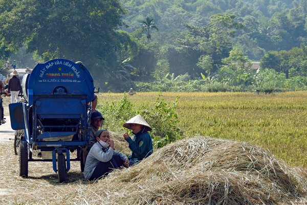 Pauze bij de rijstoogst in Mai Chau, Vietnam
