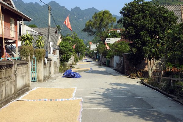 Rijst drogen op straat, Mai Chau (Vietnam)