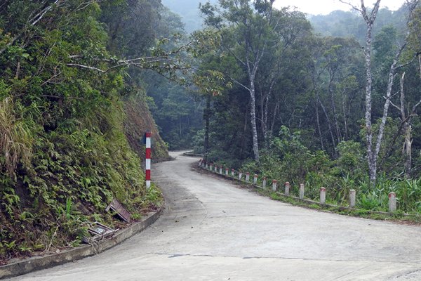 De weg omhoog door het Bach Ma park, Vietnam