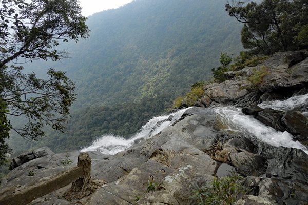 Steil pad langs waterval in Bach Ma park, Vietnam
