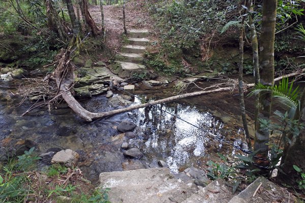 De Rododendron Trail voert via een paar treetjes door een klein watertje, Bach Ma park (Vietnam)