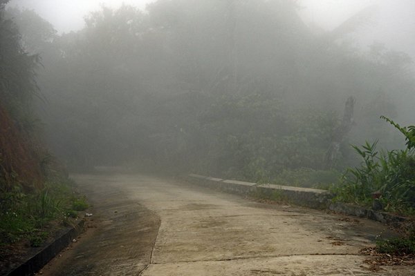 Weg in Bach Ma park in de mist, Vietnam