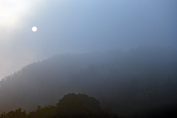 De zon probeert door te komen in Bach Ma park, Vietnam