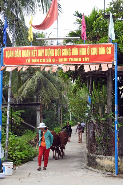 Vrouw met wat koeien op weg naar Hoi An (Vietnam)