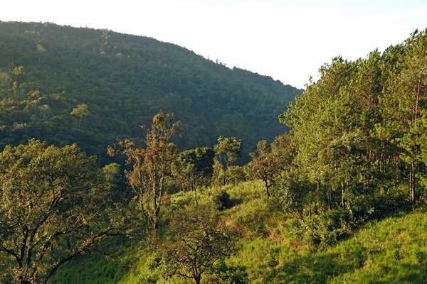 Ta Nung Valley bij Dalat, Vietnam