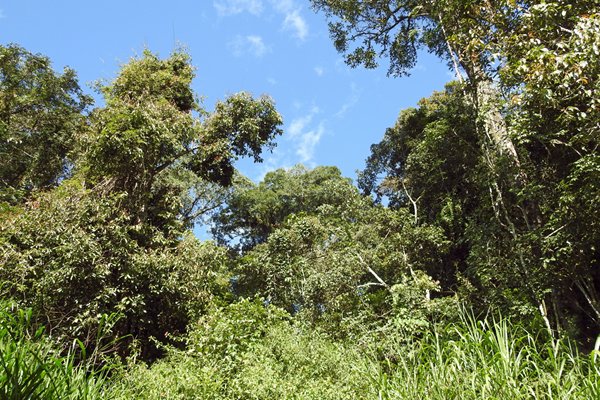 Ta Nung Valley bij Dalat, Vietnam