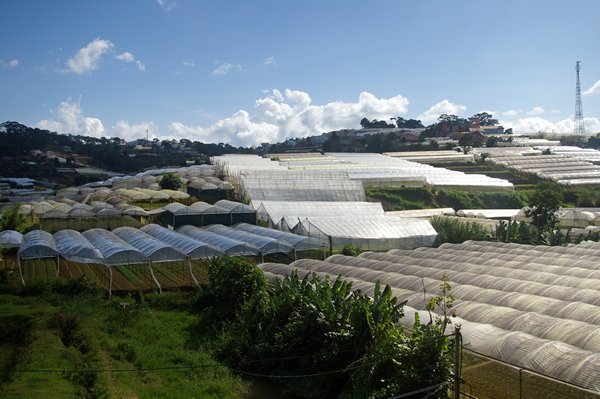 Het uitgestrekte kassengebied rond Dalat, Vietnam