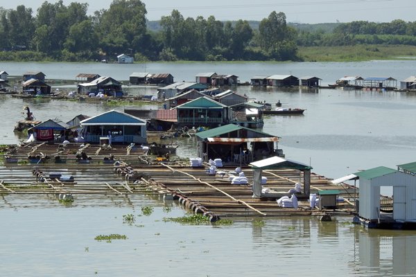 Het drijvende dorp tussen An Binh Hoa en Pho Ngoc, Vietnam
