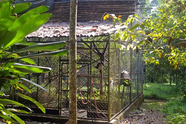 Hok bij de apenopvang op Monkey-Island, Cat Tien NP (Vietnam)