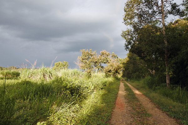 Dreigende lucht in Cat Tien NP
