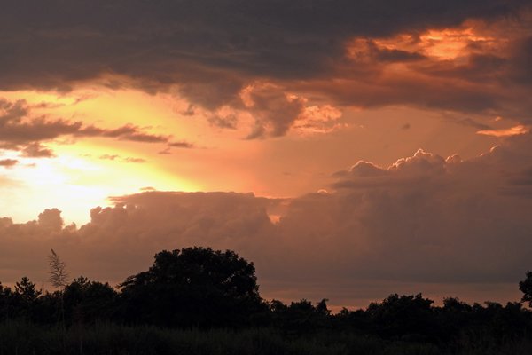 Zonsondergang in Cat Tien NP (Vietnam)