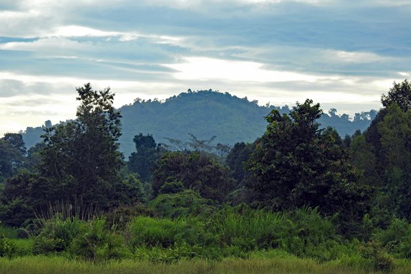 Het mooie landschap in Cat Tien NP, Vietnam