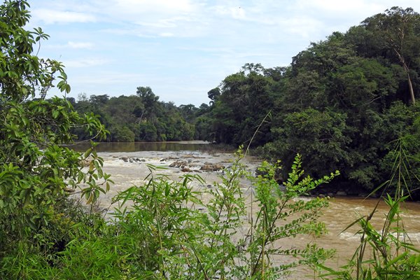 Uitzicht in Cat Tien NP over de rivier met stroomversnellingen