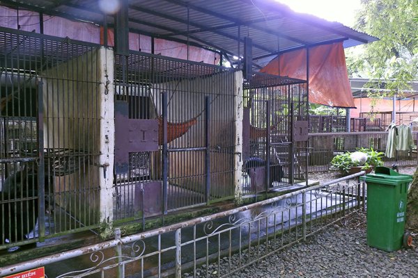 Hokken van het Bear Rescue Centre in Cat Tien NP, Vietnam