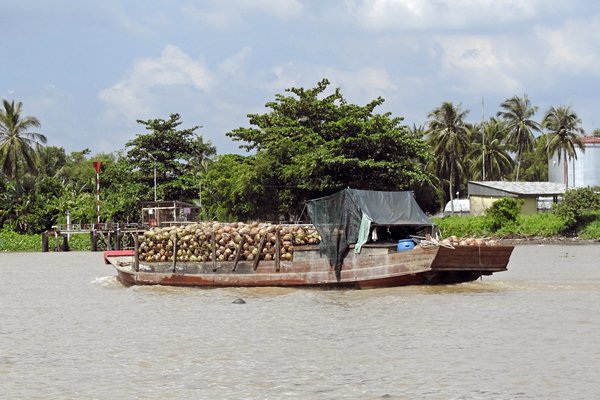 Boot met kokosnoten op de Mekong