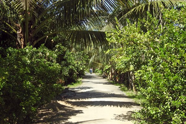 Straat in de Mekong delta