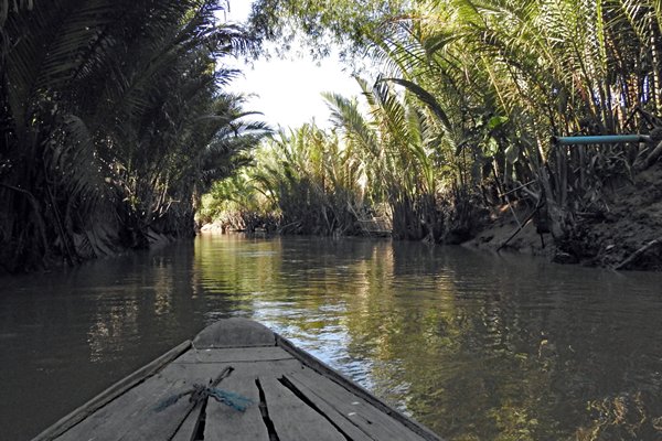Het laatste deel van een boottocht door de smalle dicht begroeide zijtakken van de Mekong rivier