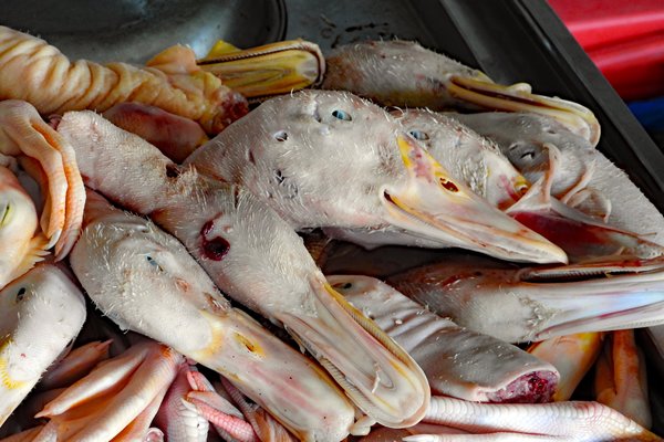 Ook eendenkoppen te koop op de vismarkt van Can Tho, Vietnam