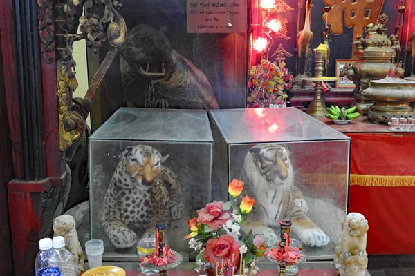 Speelgoedbeesten in een stoffige plastic vitrine in de Binh Thuy tempel bij Can Tho, Vietnam