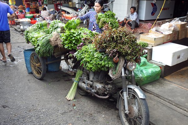 Motor met aanhanger als groentekraam in Chau Doc (Vietnam)