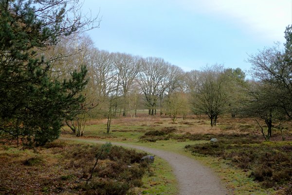 Begin van het wandelpad bij Oud Reemst