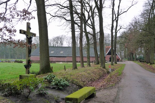 Een landelijk beeld tijdens de Groene Wissel wandeling nr 245 rond Oldenzaal
