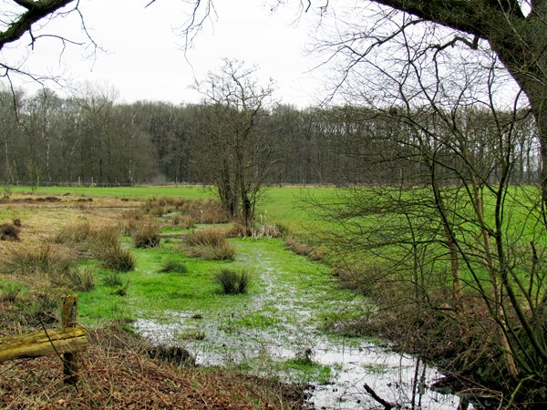 Omgeving van de Hindekamp bij Ede