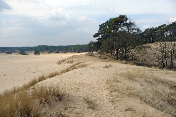 Hulshorsterzand