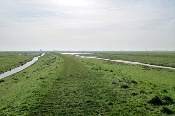 Het vlakke polderlandschap bij Eemland