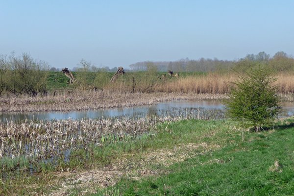 In april is het in de uiterwaarden nog kaal