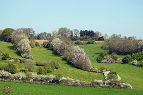 Landschap bij Eyserheide