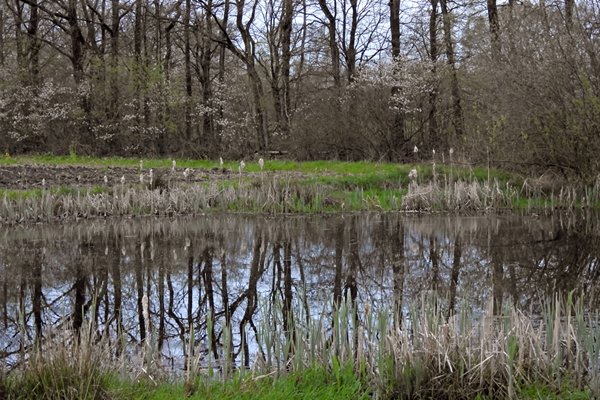 Hindekamp 27 april 2015