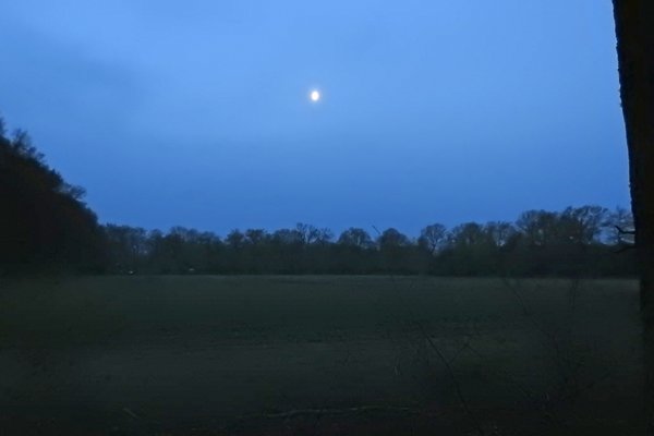 Hindekamp 8 mei 2015
