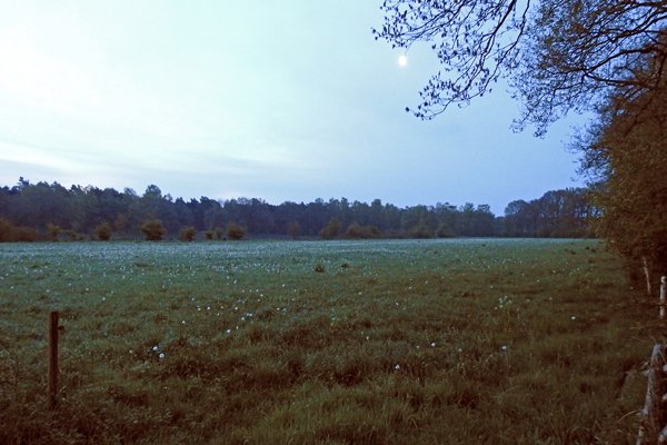 Hindekamp 11 mei 2015