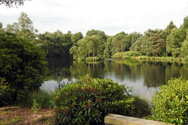 Vennetje in de omgeving van Een