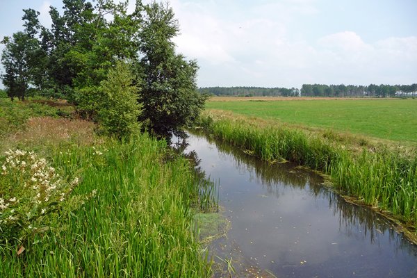 De landelijke omgeving van Beetsterszwaag