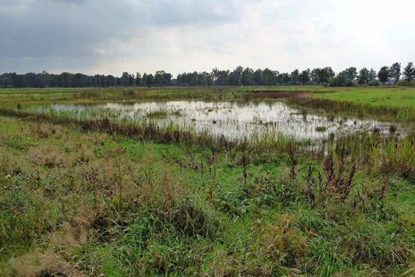 Onder water staande akkers bij Rijssen