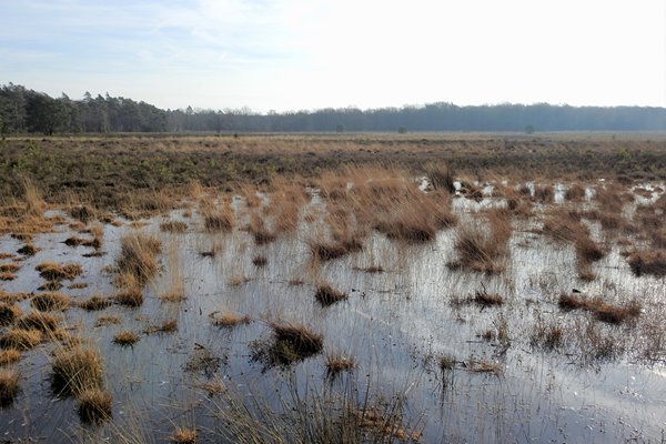 Heideven bij Vierhouten