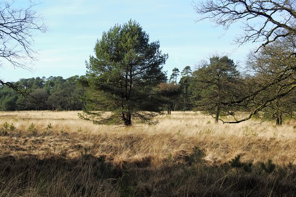 Kroondomein Het Loo