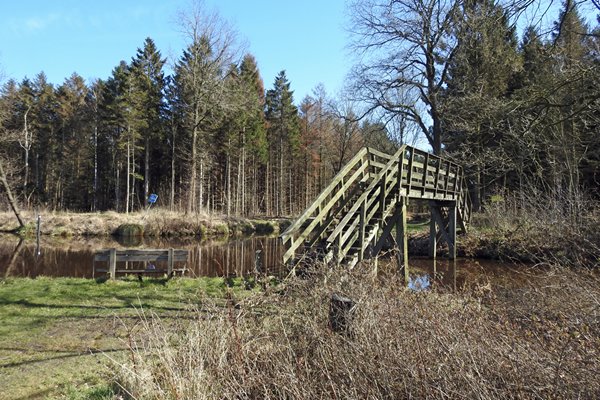 Compagnons bossen bij Appelscha